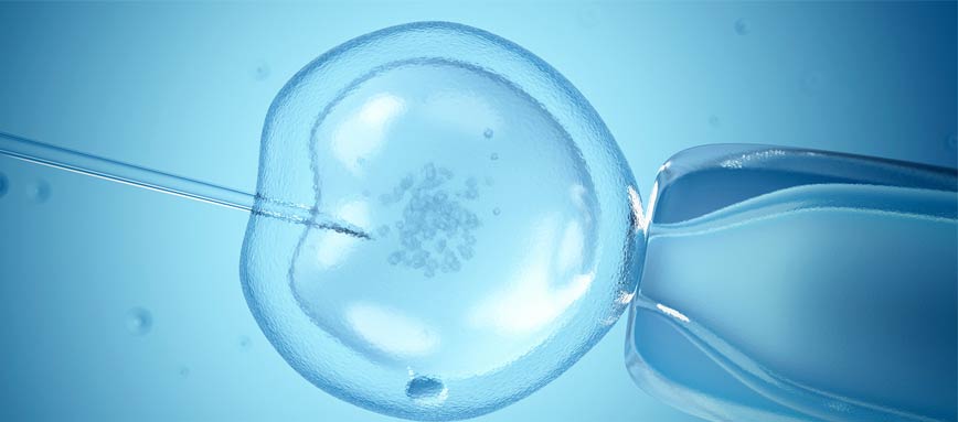 FIV à Montpellier – parcours de fécondation in vitro et PMA